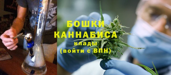 прущие грибы Заводоуковск