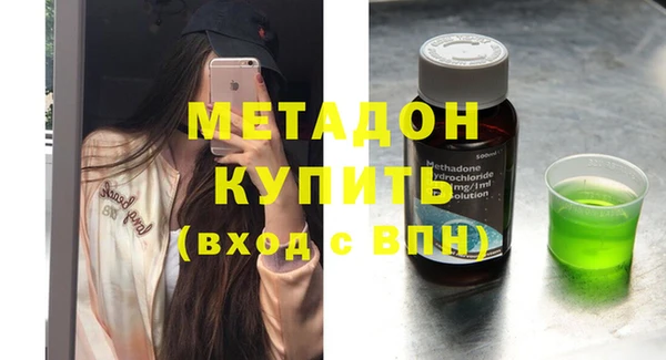прущие грибы Заводоуковск