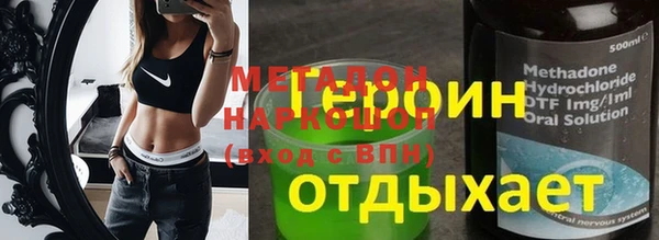 прущие грибы Заводоуковск