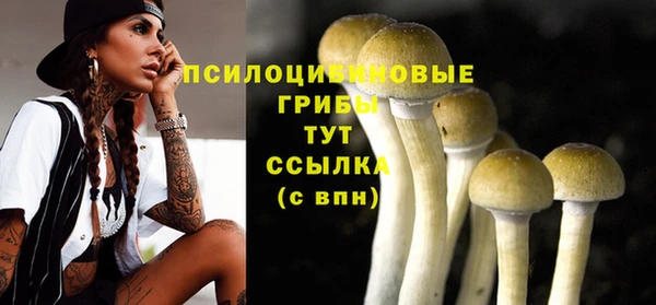 стаф Зеленодольск