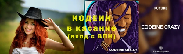 прущие грибы Заводоуковск