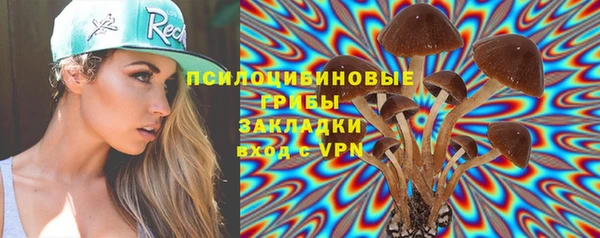стафф Зерноград