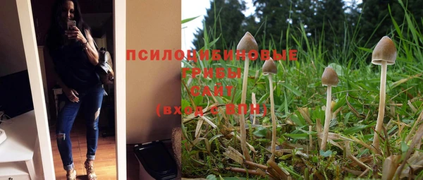 стафф Зерноград