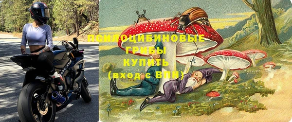 дживик Заволжье