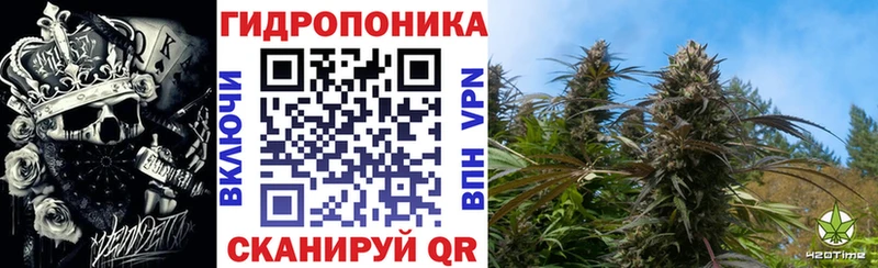 blacksprut tor  Сланцы  МАРИХУАНА VHQ 